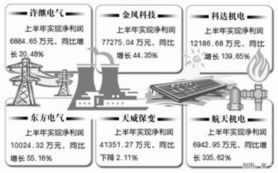 新興能源產(chǎn)業(yè) 企業(yè)發(fā)展戰(zhàn)略與技術(shù)創(chuàng)新前景